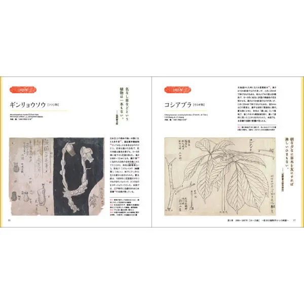 牧野富太郎の植物図鑑 | 三才ブックス 牧野富太郎の植物図鑑 | 三才ブックス