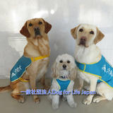 一般社団法人Dog for Life Japan