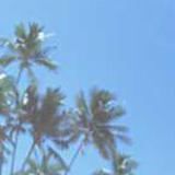 Net Shop iQR@