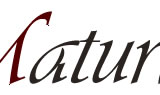 Maturi JAPAN