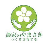 紀州南高梅 青梅の通販サイト 農家のやまさき