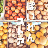 ぽいれんストア