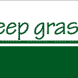 sheepgrass STORE