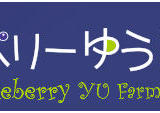 Blueberryゆうふぁーむ