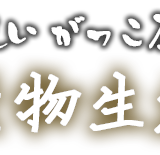 美味いがっこ屋さん　松倉農産物生産加工所