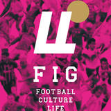FIG