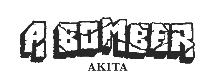 A BOMBER AKITA