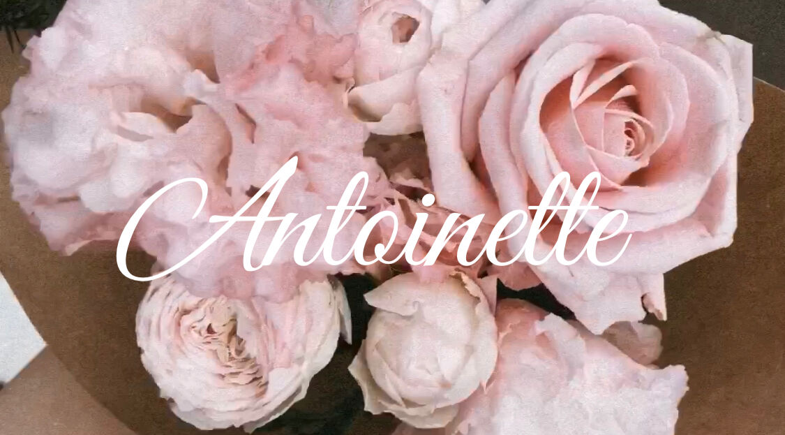 Antoinette