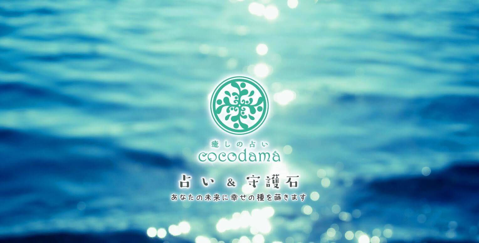 癒しの占い　cocodama