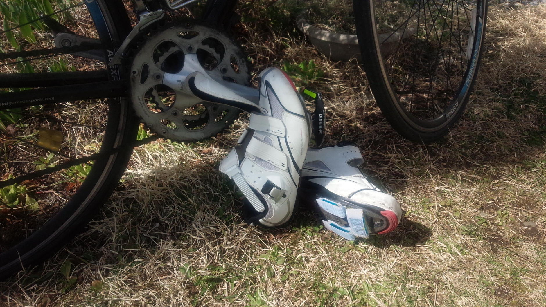 cycletrailer　UA-62234381-1
