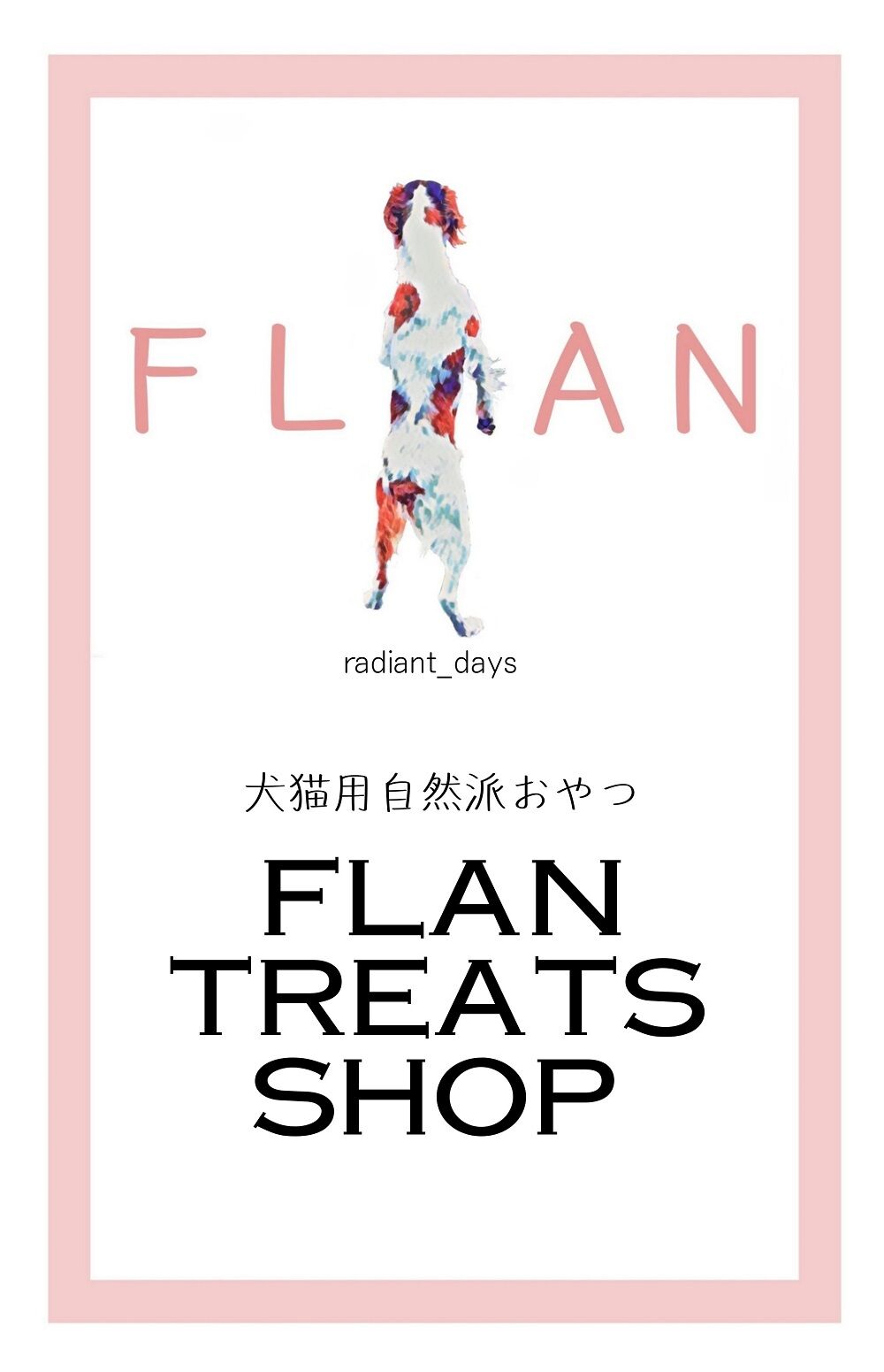 FLAN treats shop
