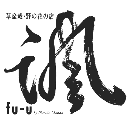苔玉・草盆栽・山野草の店　諷 fu-u by PiccoloMondo