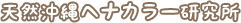 ヘアーシエスタDUE