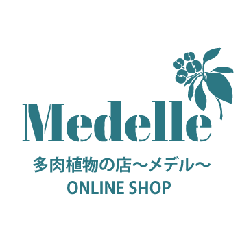 About 多肉植物の店 メデル Medelle
