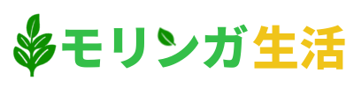 MORINGA STORE