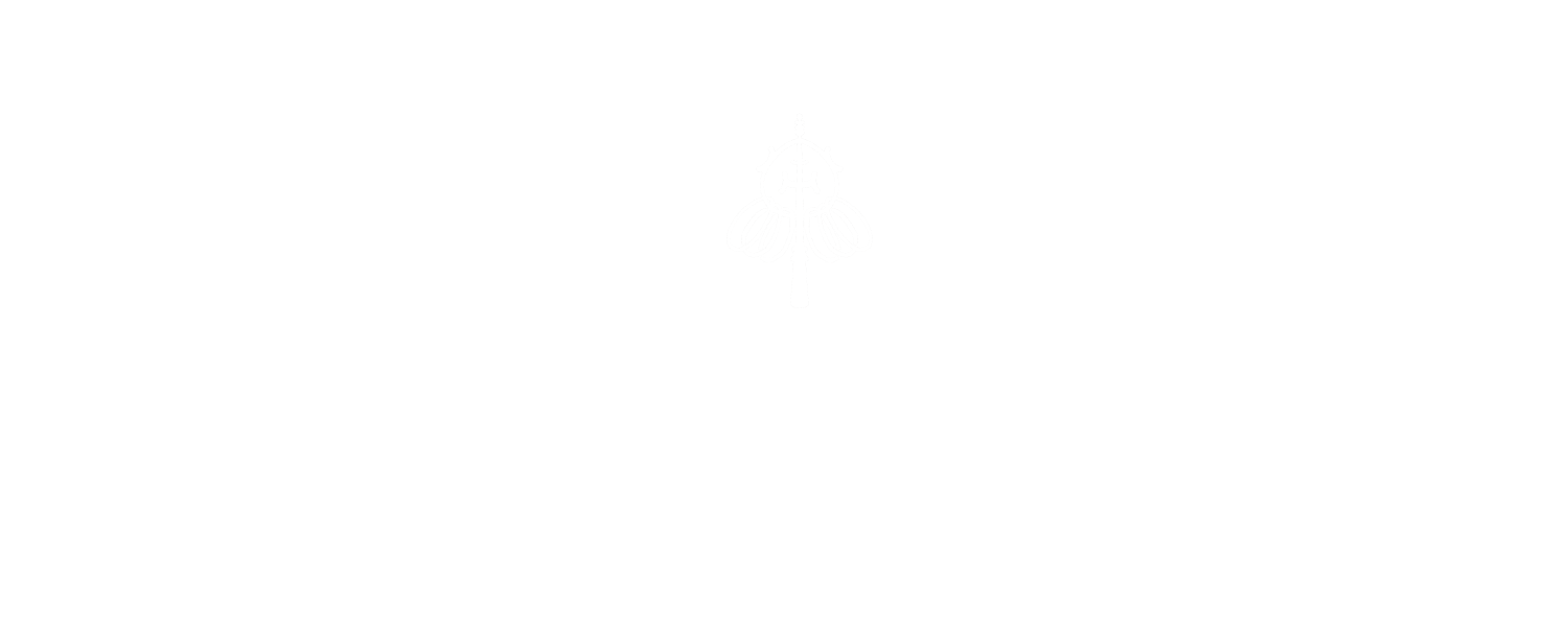 大峯山麓珈琲　＠天川村