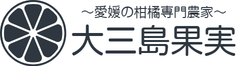 大三島果実