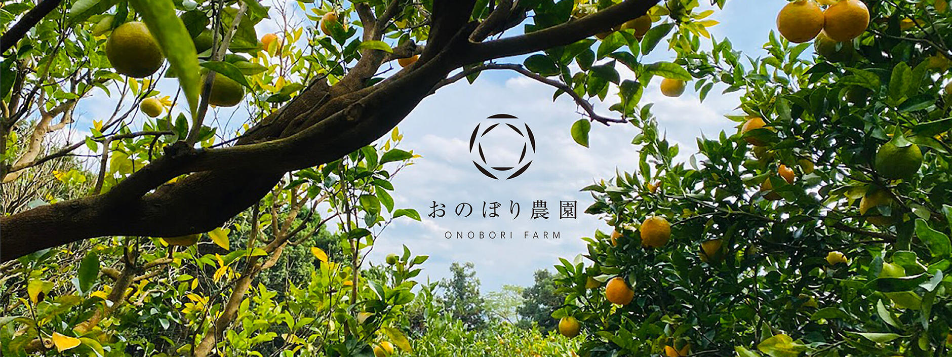 おのぼり農園