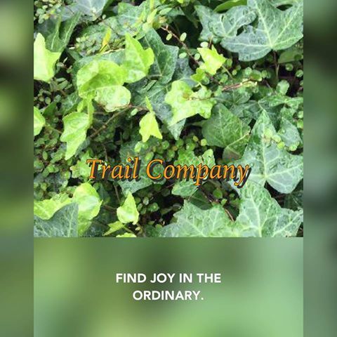 Trail Company　Stores