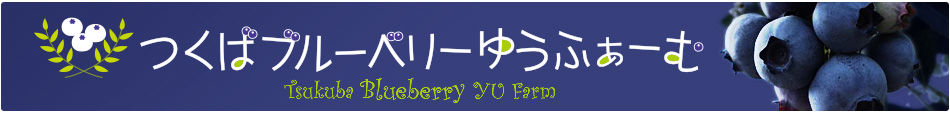 Blueberryゆうふぁーむ