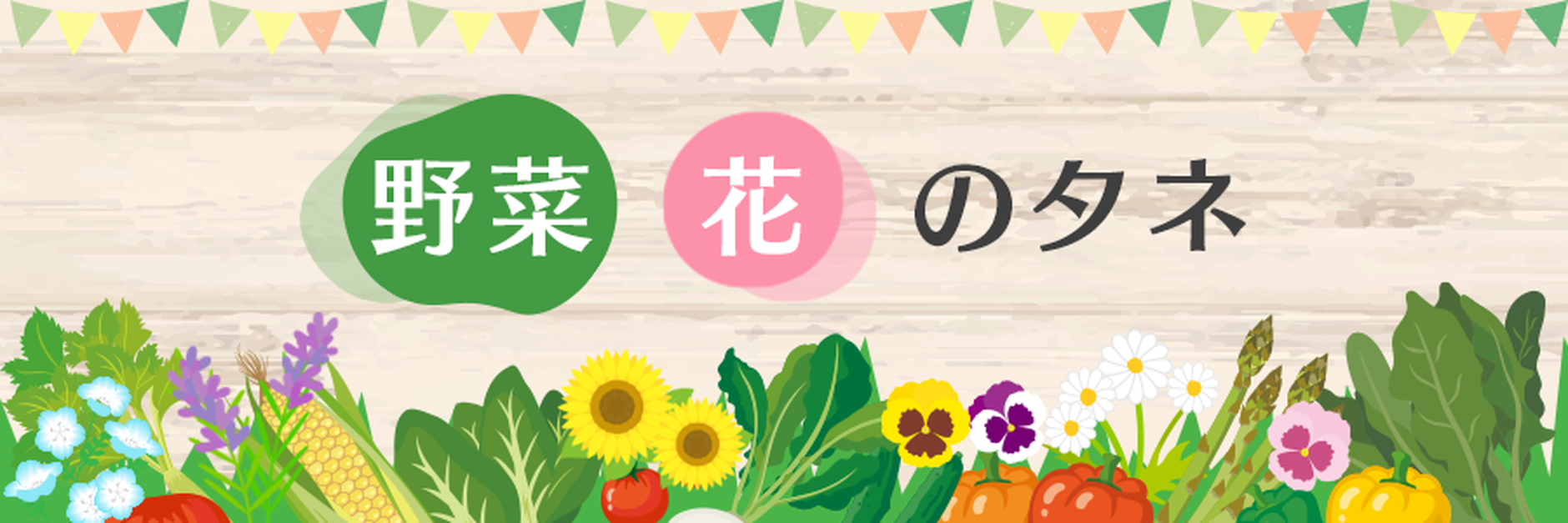 花さんぽ 種子 アートフラワー 栽培キット