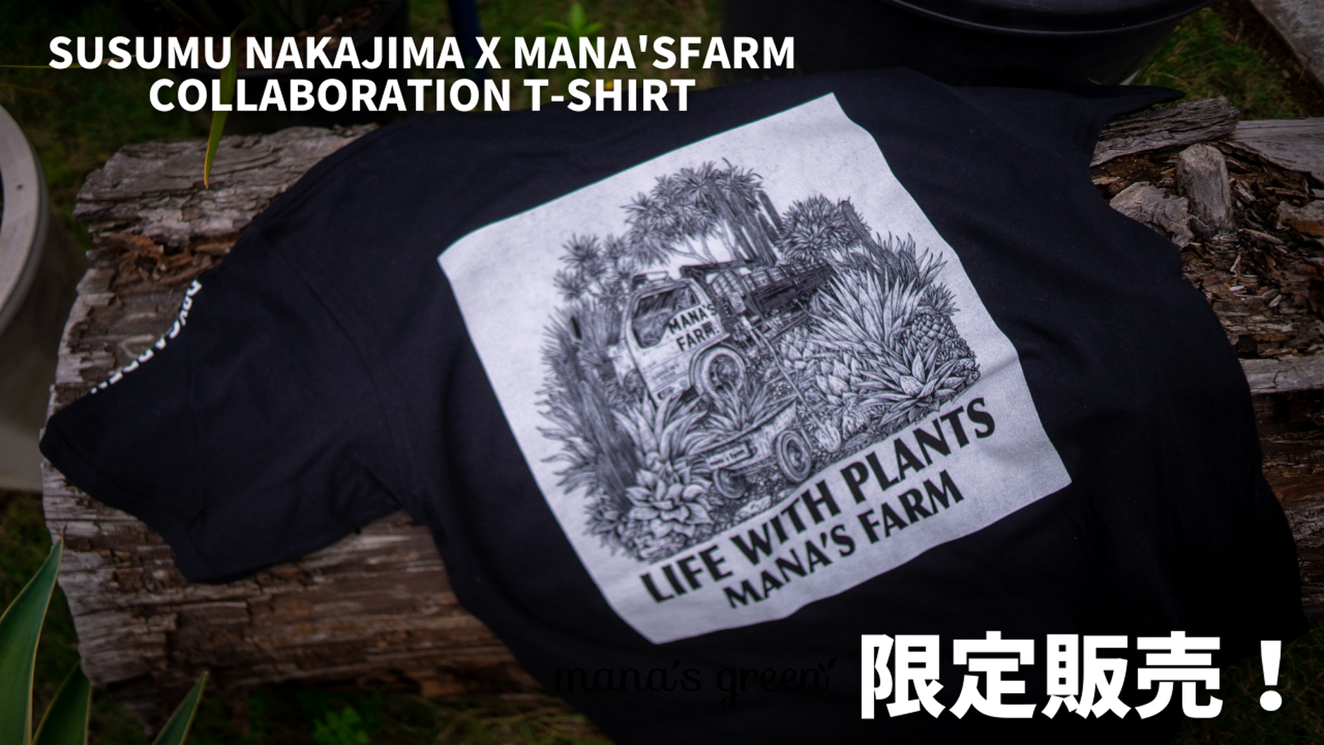 Mana S Green 塊根植物販売 マナズグリーン