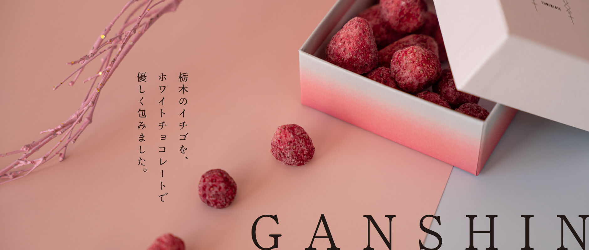 Tento Chocolate Online Store