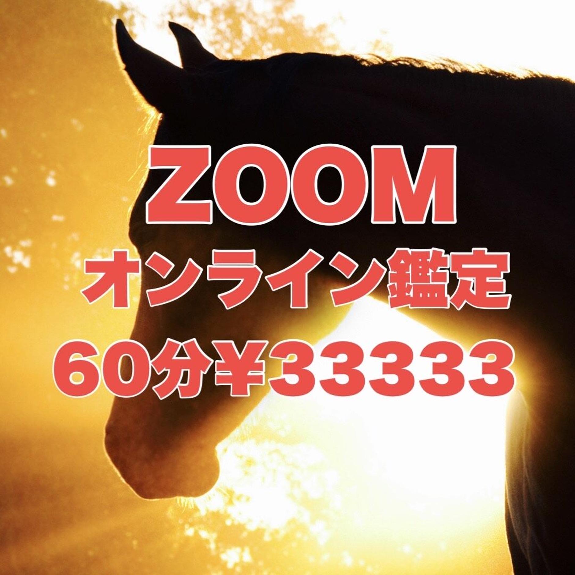 馬と生きる占い師 アパルーサ Store