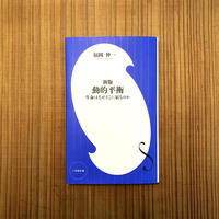 まなざしの地獄 ー尽きなく生きることの社会学 見田宗介 アカゲラブックス