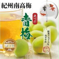 【低農薬・秀品】 大つぶ 3Lサイズ 以上 南高梅 手もぎ青梅 紀州 和歌山 谷本農園産 (生梅)5Kg 【クール送料無料・税込】※北海道、沖縄+500円の送料かかります。離島にはお送りできません。