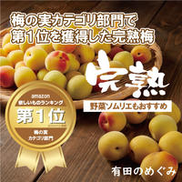 【低農薬・秀品】 大つぶ 3Lサイズ 以上 南高梅 手もぎ完熟梅 紀州 和歌山 谷本農園産 (生梅)15Kg 【クール送料無料・税込】※北海道、沖縄+500円の送料。離島にはお送りできません。
