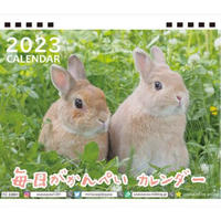 【予約販売】 うさぎの毎日がかんぺい 2023年 卓上カレンダー TC23260