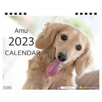 【予約販売】 カニンヘンダックスフンド犬のAmu 2023年 卓上カレンダー TC23339