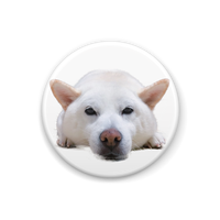 限定版 Ryuzoarts 缶バッチ２セット 東急ハンズ池袋店販売記念品 Anistar