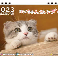 【予約販売】 猫のコハちゃん 2023年 卓上カレンダー TC23201