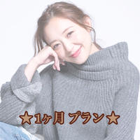 1ヶ月通常プラン