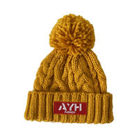 AYH NEW LOGO WAPPEN KNIT CAP