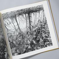 LEE FRIEDLANDER PHOTOGRAPHS FREDERICK LAW OLMSTED LANDSCAPES / Lee Freidlander(リー・フリードランダー)