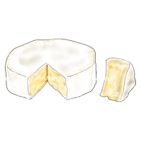 生ハムの盛り合わせ 白皿 Ham Plate 料理イラスト 料理イラスト商店