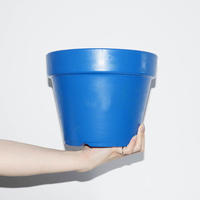 Blue Pot 7号(W23×H18.5)