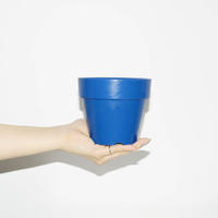 Blue Pot 4号(H11×W12.5)