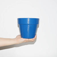 Blue Pot 5号(W15.5×H13.5)