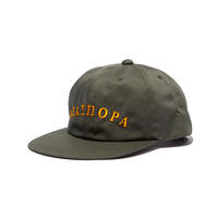 Frat Arch Logo 6 Panel Cap (Olive)