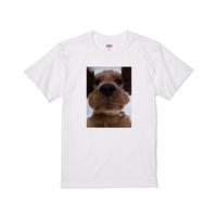 EW×shizuku/T-shirt