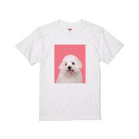 EW×あおまる/T-shirt