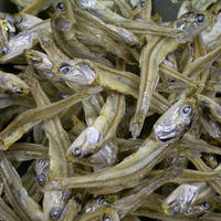 ごまいりこ どっさり１ｋｇ お菓子感覚のごま付き食べる煮干 水飴コーティング 駅前ヨ