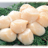 ホタテ貝柱　1kg　Mサイズ　30個前後　（冷凍・刺身用）