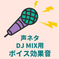Dj Mix用効果音商品146 カウントダウン声ネタ Let S Get The Party