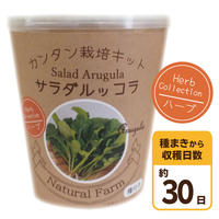 Natural Farm カンタン栽培キット スイートバジル 栽培セット 花さんぽ 種子 Natural Farm カンタン栽培キット スイートバジル 栽培セット 花さんぽ 種子