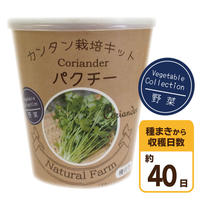 Natural Farm カンタン栽培キット サラダルッコラ 栽培セット 花さんぽ 種子
